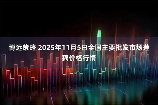 博远策略 2025年11月5日全国主要批发市场莲藕价格行情
