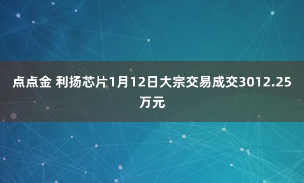 点点金 利扬芯片1月12日大宗交易成交3012.25万元