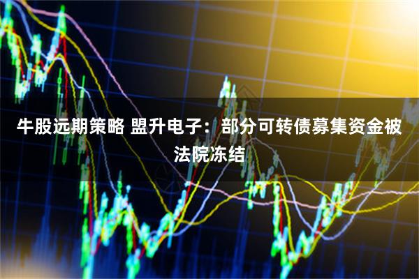 牛股远期策略 盟升电子：部分可转债募集资金被法院冻结