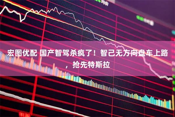 宏图优配 国产智驾杀疯了！智己无方向盘车上路，抢先特斯拉